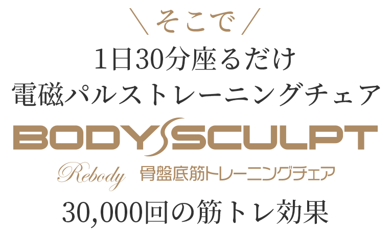 BODY SCULPT 骨盤底筋トレーニングチェア