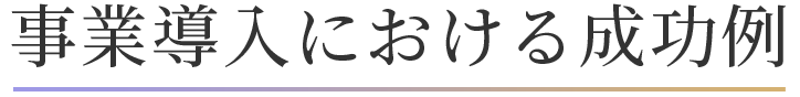 事業導入における成功例