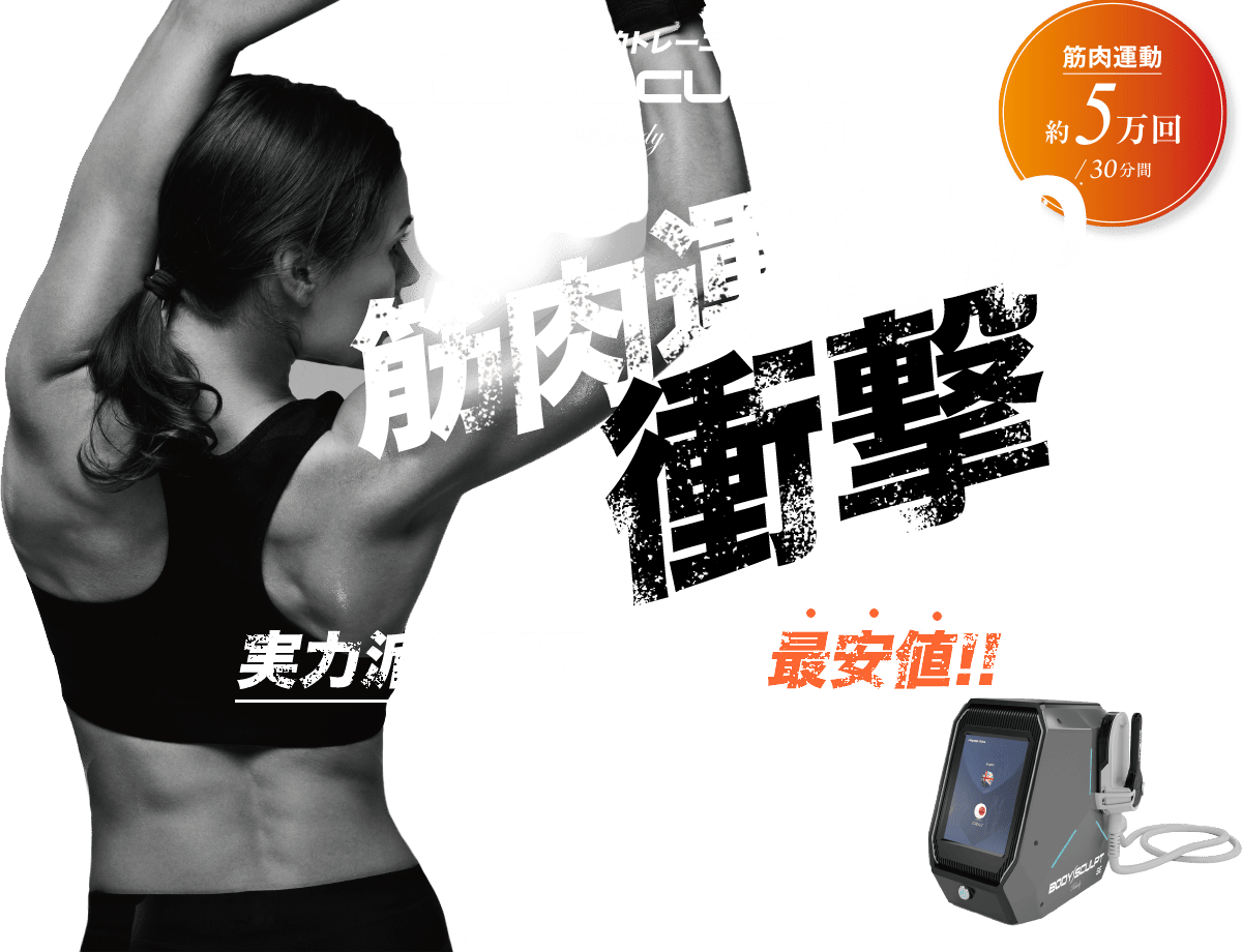 BODY SCULPT SE（ボディスカルプト エスイー）痩身マシン卸売販売